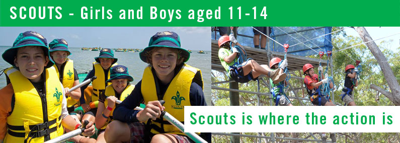 Nerang Scouts